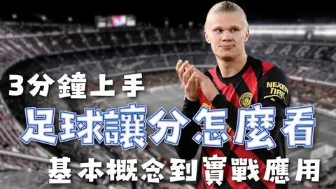 大乐透期号专家推荐：昨篮球6中5，今日重点赛事分析